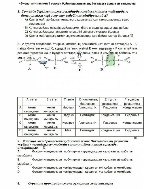 Кто в казахском классе? На сегодня