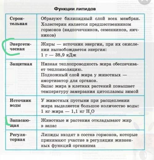 нужно перечислить 2 общие функции углеводов и липидов