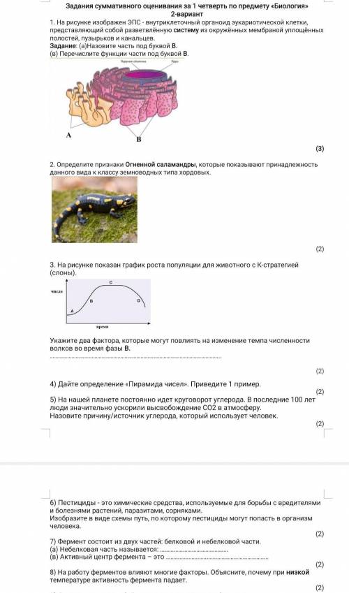 СОЧ по Биологии! Вопрос на рисунке☝︎​