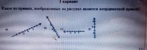 І. Какое из прямых, изображенных на рисунке является координатной прямой?​