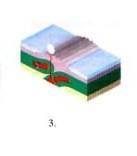 4. Определите вид тектонического движения по рисунку.​