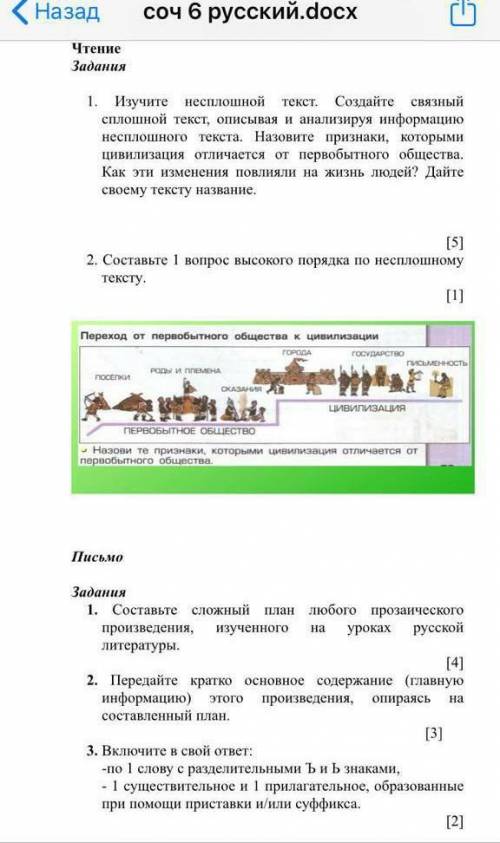 СОЧ по русскому языку 6 класс​