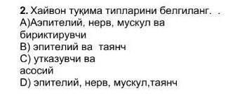 2. Хайвон тукима тилларини белгиланг. А)Азрители, нера, мускул вабириктирувчиB) эпителий ва таанчС)