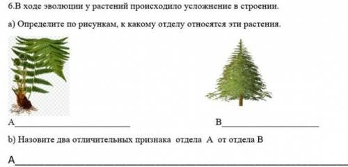 5.b) Определите, какая из функций белка нарушается при плохом питании и замедлении роста у детей А)