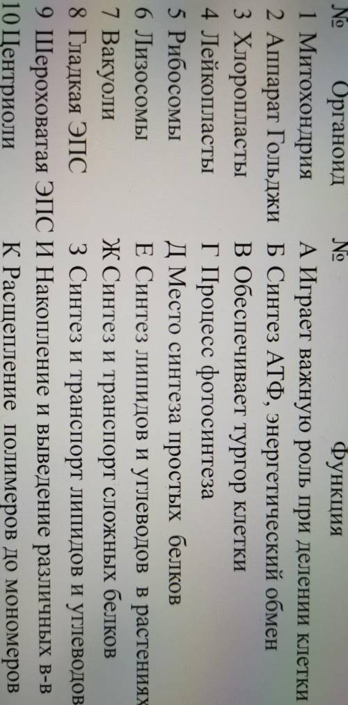 Составить пары - 10 парNoОрганоид NoФункция1 Митохондрия АИграет важную роль при делении клетки2 Апп