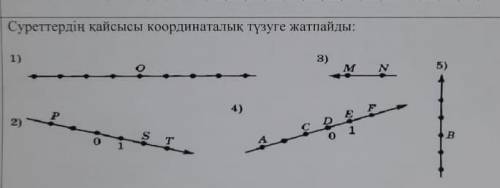 Кайсысы кординаталык түзуге жатпайды керек​