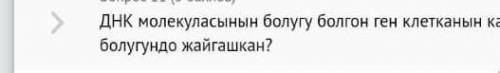 ДНК малекуласынын болугу болгон ген клетканын кайсы болугундо жайгашкан​