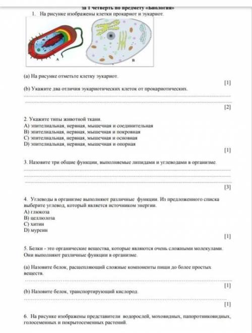 Соч по биологии 8 класс 1 четверть памагите​