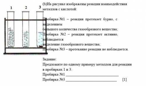 Напишите уравнение возможной реакции взаимодействия кислоты с предложенными вами металлами для проби