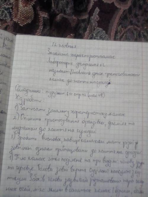 Опішить пристосування брінзтвки джміля та мурашки до життя на суходолі и 3 зделайте