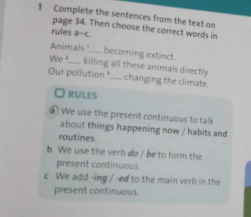 1 Complete the sentences from the text onpage 34. Then choose the correct words inrules a-c.Animals?