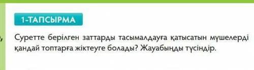 суретте берілген заттарды тасмалдауга катысатын мүшелерді кандай топтарга жіктеуге болады,жауабын тү