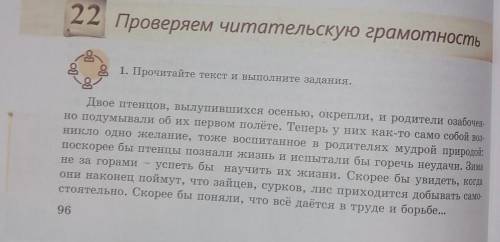 Отец и мать ждали осенних штормовых ветров, чтобы выпустить ор лят в первый полёт. В ожидании Шапшан