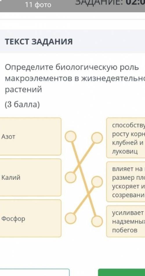 Определите биологическую роль микроэлементов в жизнедеятельности растений​