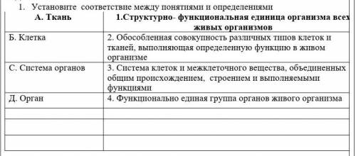 Установите соответствие между понятиями и определениями :​