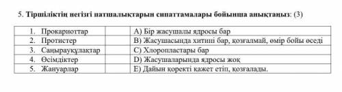 Прокарноттар 2 Протистер 3. Саныраукулактар 4. Осімдіктер 5. Жануарлар |А) Бір жасушалы ядросы бар В