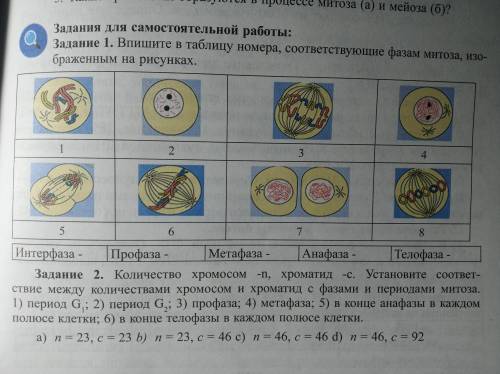 Задание 1 и 2, заранее