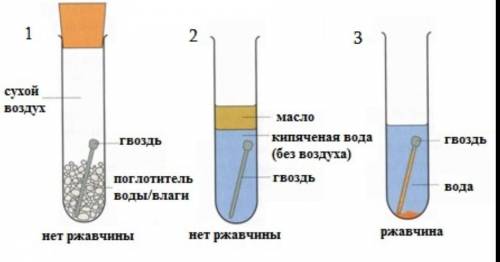 7. На  рисунке показан  результат эксперимента  процесса коррозии: Используя рисунок, объясните усло