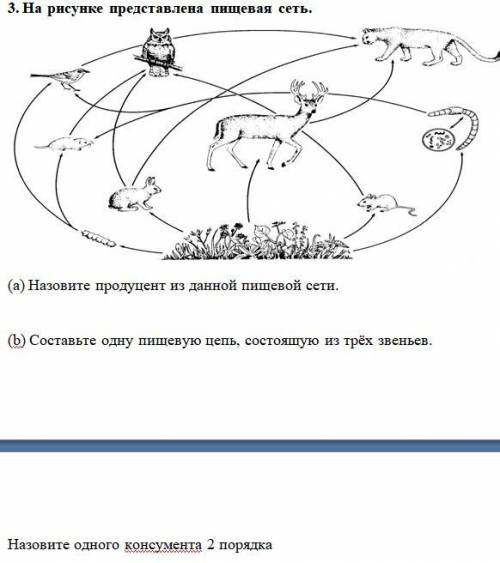 ДЯДЫ ПО БРАТСК Я ПРОСТО НЕМНОЖЕЧКО ДАУНЪ 3. На рисунке представлена пищевая сеть. (а) Назовите проду