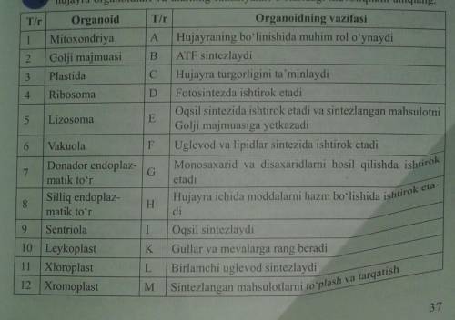 Organoidning vazifalari??​