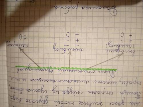 биологи из рассказа Пришвина выписать примеры отношений симбиоз, антибиоз,нейтральные