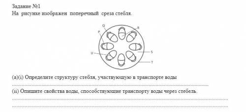 Задание №1 На рисунке изображен поперечный среза стебля. 1 скрин (а)(і) Определите структуру стебля