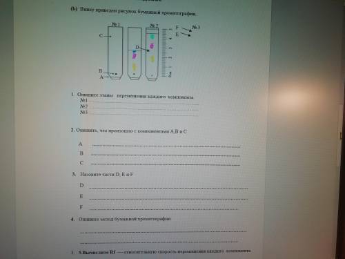решить химию(бумажная Хроматография) + фото. P.s На фото криво изображены неизвестные обозначения на