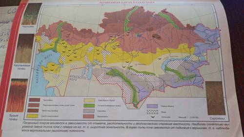 Дайте характеристику почвенной карте Казахстана (атлас стр. 31) по плану: 1) По охвату территории 2)