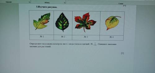 Определите под каким номером лист с недостатком магний. :№. Опишите значение магния для растений. Да
