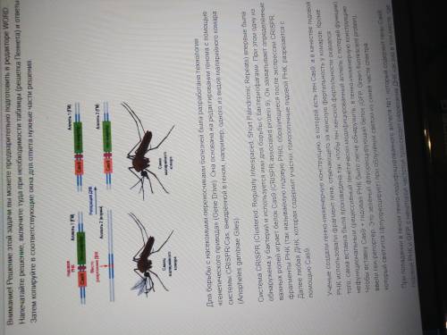 Днк малярийного комара , само решение кроется в задаче которая на фото От этого зависит жизнь челове