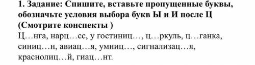 Спишите, вставьте пропущенные буквы, обозначьте условия выбора букв Ы и И после Ц (Смотрите конспект