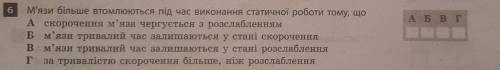 М'язи більше втомльюються під час виконання статичної роботи тому, що