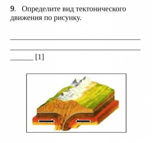 Определите вид тектонического движения по рисунку.​