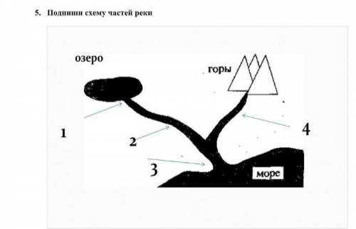 Подпиши схему частей реки