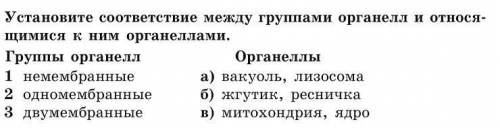 Установите соответствие между группами органелл и относящимися к ним органеллами