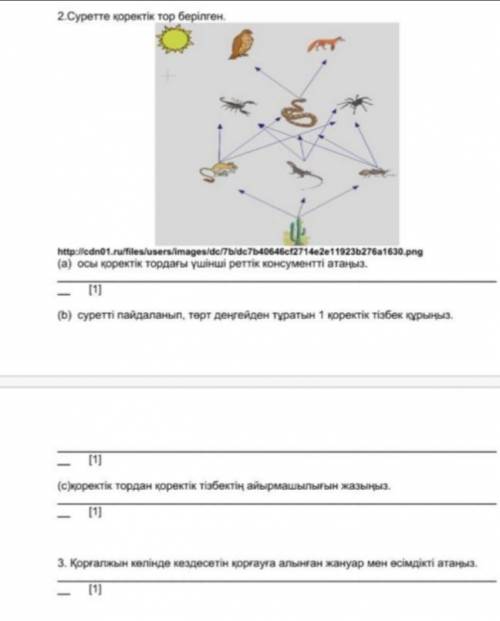 Биология Тжб чем сможете, 2 а) осы коректик тордагы ушинши рет тик консументтерди атаныз b) осы сур