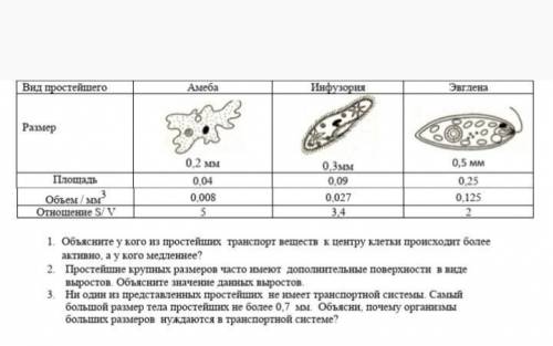 Добрые люди очень Рассмотрите таблицу с данными для трёх видов простейших (ответить на вопросы опира