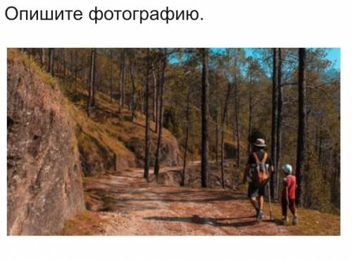 Прогулка в лесу (текст-описание) Опишите фотографию.У вас должен получиться текст из 10-12 предложен