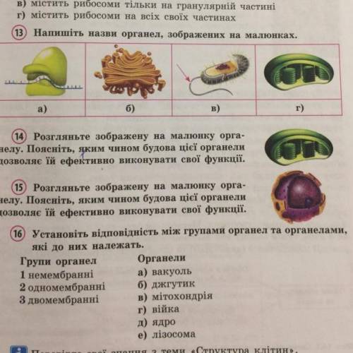 (16) Установіть відповідність між групами органел та органелами, які до них належать. Групи органел