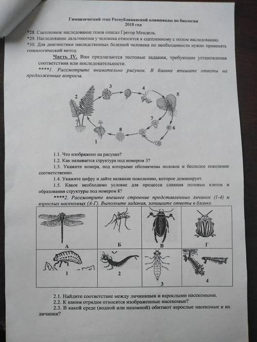 Первое задание четвёртой части.