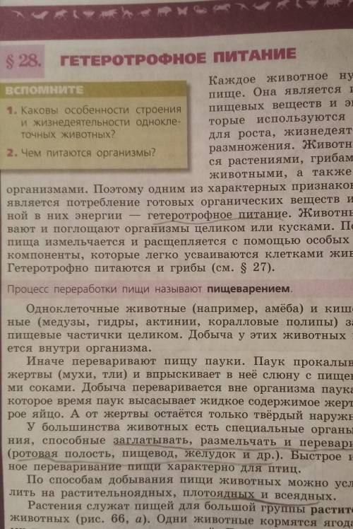 Краткий пересказ параграфа по биологии 28 § даю 20 боллов