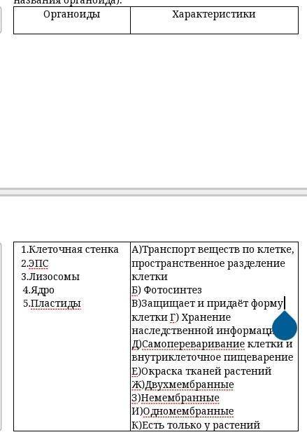 Распределите характеристики соответственно органоидам клетки (поставьте буквы, соответствующие харак