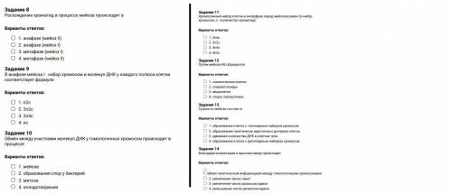 Тест по биологии. Мейоз
