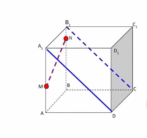 КОНТРОЛЬНАЯ! Дан куб ABCDA1B1C1D1Каково расположение прямых? 1)А1D и MN2) A1D и B1C 3)MN и А1B1? ​