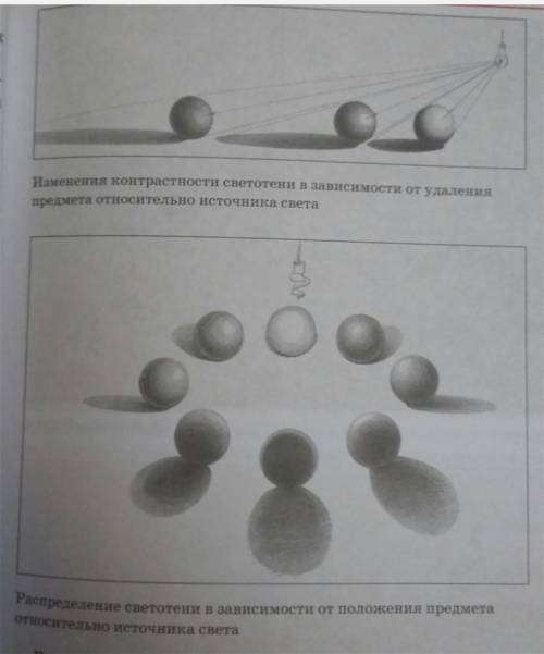 В какой светотеневой зависимости они находятся Изо 7 класс​