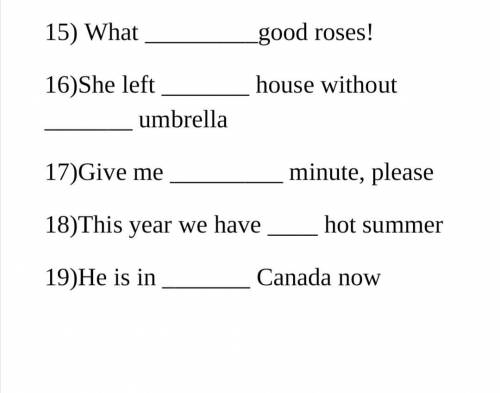 Put the articles (a/an, the or zero article (no article) in the sentences