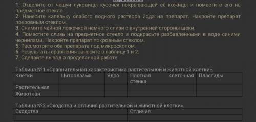 1. Отделите от чешуи луковицы кусочек покрывающей её кожицы и поместите его на предметное стекло. 2.