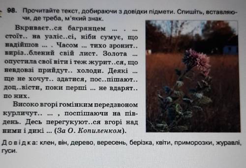 надо сделать то, что в заданиях написано. и придумать название к этому тексту и подчеркнуть граммати