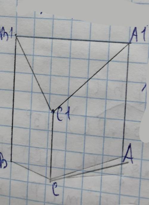 Дана треугольная призма,все ребра равны,найти (ва1;сс1),(ва1;ас)=90°​