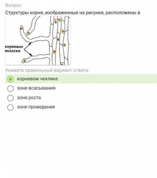 СДЕЛАЙТЕ БИОЛОГИЯ Я ЭТО НЕЧАЙНО НАЖАЛ ПАЦАНЫ СДЕЛАЙТЕ ПРАВИЛЬНО